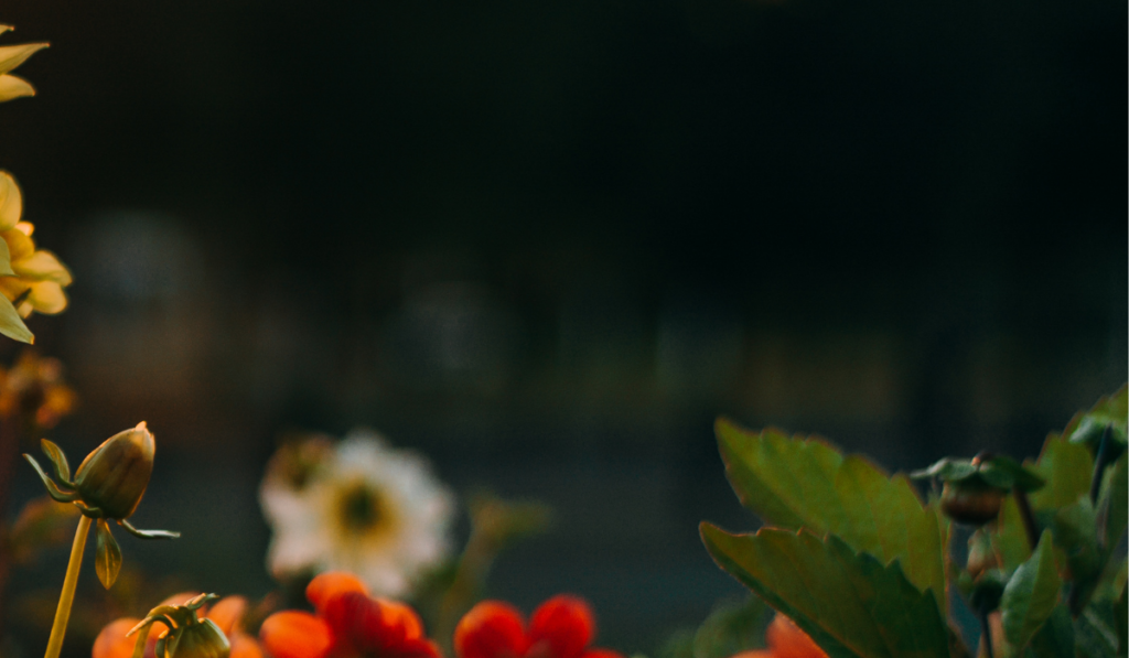 The Beauty of Quiet Spiritual Habits